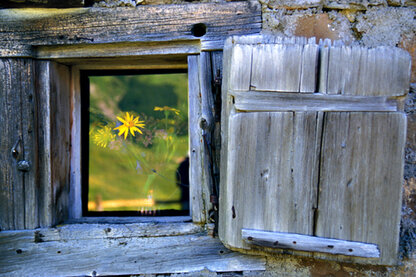 Altes Hausfenster mit Blume Altes Hausfenster mit Blume